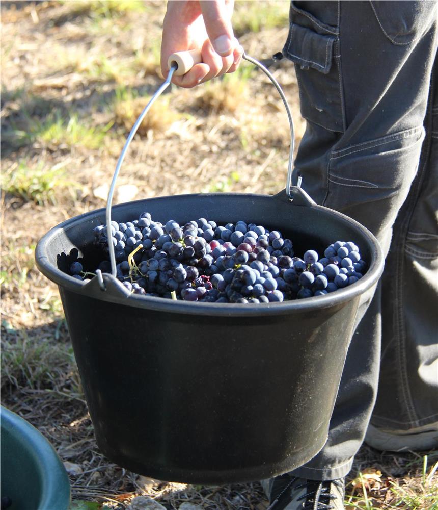 seau &agrave; veau ou &agrave; vendanges